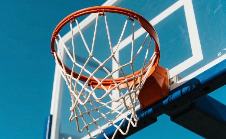 高清国产激情视频在线观看官网